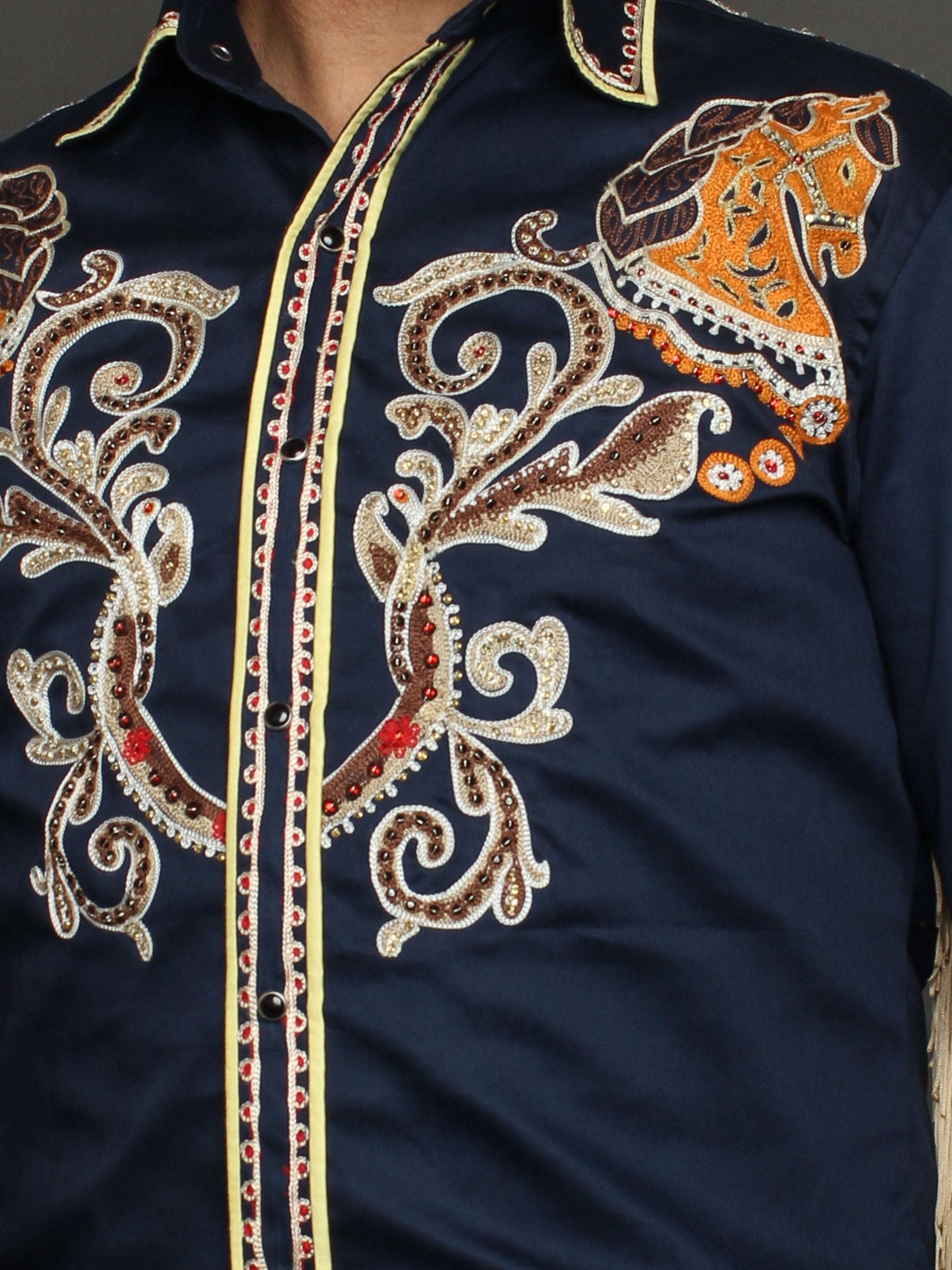 Fringed Embroidered Western Shirt